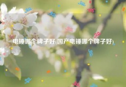 电锤哪个牌子好(国产电锤哪个牌子好)