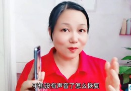 手机没声音是怎么回事(手机没声音了恢复方法)