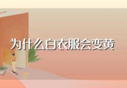 为什么白衣服会变黄(什么原因白衣服变黄)