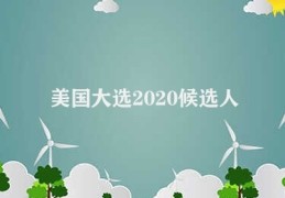 美国大选2020候选人(2020美国总统大选候选人揭示)