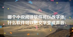 哪个小说阅读软件可以改字体(什么软件可以把文字变成声音)