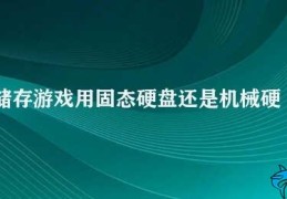 储存游戏用固态硬盘还是机械硬盘(如何选择适合储存游戏的硬盘)