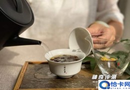 金骏眉是什么茶树品种(属于红茶)