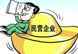 民营企业和私企哪个好(私营企业和民营企业的区别)