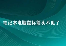 笔记本电脑鼠标箭头不见了(解决笔记本电脑鼠标箭头不见的方法)