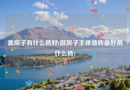 盖房子有什么砖好(做房子主体墙砖最好用什么砖)