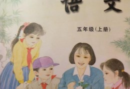 小学语文课型分为哪几类