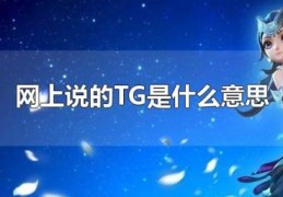 网上说的TG是什么意思(TG是《梦幻西游》天宫的意思)