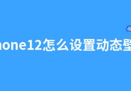 iphone12怎么设置动态壁纸