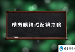 深圳横岗眼镜城攻略？(横岗眼镜城配镜攻略)