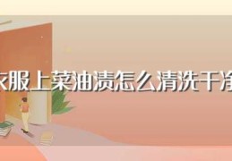 衣服上菜油渍怎么清洗干净(如何清洗衣服上的油渍)