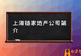 链家哪年进入上海？(上海链家地产公司简介)