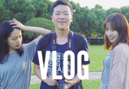 vlog有哪些类型(vlog是什么意思)