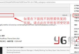 谷歌为什么打不开历史记录(Chrome谷歌浏览器恢复方法)