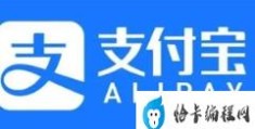 为解绑支付宝民警帮办45张证明