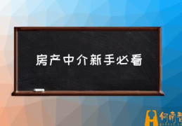 现在的地产中介怎么做？(房产中介新手必看)