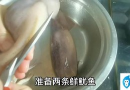 铁板鱿鱼小吃叫什么名字（广东特色美食街小吃铁板烧鲜鱿鱼）