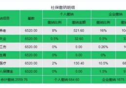 今年养老保险缴费标准(今年社保费一个人交多少钱2022)