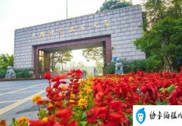 安徽省大学排名前十名名单：中科大荣获第一名