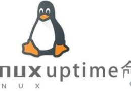 Linux的uptime命令如何使用