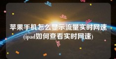 苹果手机怎么显示流量实时网速(ipad如何查看实时网速)