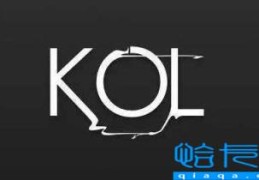 kol通俗点的意思(自媒体kol是什么意思)