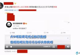 林心如和霍建华离了婚是真的吗(大V曝林心如霍建华已离婚)