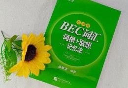 bec证书含金量高吗(bec中级相当于什么水平英语)