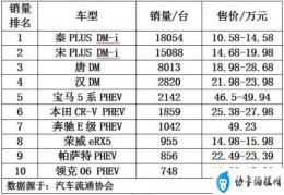 混合动力汽车销量排行前十车型(混合动力车型及价格)