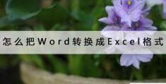 怎么把Word转换成Excel格式(word直接转换为excel的方法技巧)