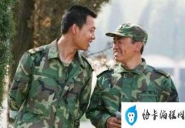 五部特种兵题材电视剧(有关特种兵的电视剧有哪些)