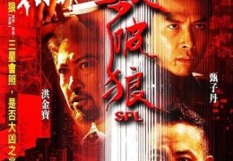 洪金宝警匪动作电影杀破狼(洪金宝主演警察的电影叫什么)