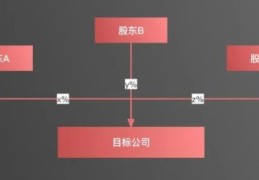 股权结构图(公司股权架构怎么做)