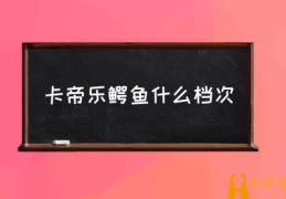 卡帝乐鳄鱼什么档次(鳄鱼恤皮带属于什么档次？)