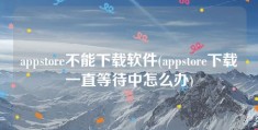 appstore不能下载软件(appstore下载一直等待中怎么办)