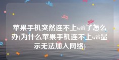 苹果手机突然连不上wifi了怎么办(为什么苹果手机连不上wifi显示无法加入网络)