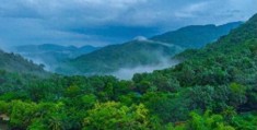 呀诺达热带雨林一日游的攻略(呀诺达热带雨林景点介绍)