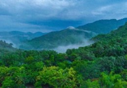 呀诺达热带雨林一日游的攻略(呀诺达热带雨林景点介绍)