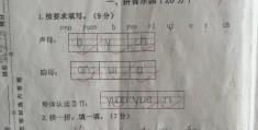 一年级语文期中考试试卷总体分析(一年级语文期中试卷)