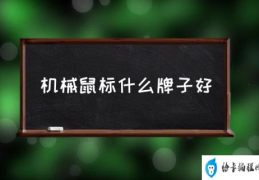 机械鼠标什么牌子好(什么是机械鼠标？)