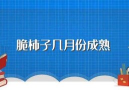 脆柿子几月份成熟(脆柿子的成熟时间)