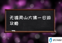 无锡灵山大佛一日游攻略(江苏无锡市灵山景区怎么样？)