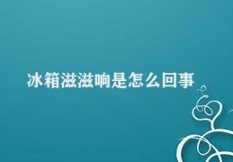 冰箱滋滋响是怎么回事(冰箱内部机械噪音)