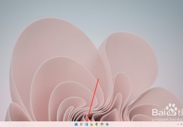 win11怎么添加小组件?(windows11小组件的添加删除方法)