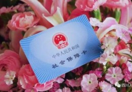 个人怎么给自己交社保(社保是什么)