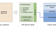 如何利用Hyperledger Fabric的SDK来开发REST API服务器