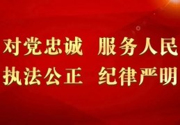 交管12123网上换驾驶证流程图(网上换驾驶证需要什么材料)