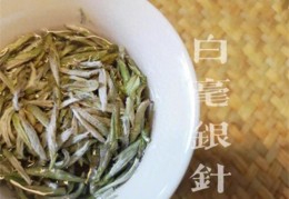 白毫银针属于什么茶(众多白茶中，为什么爱茶人偏爱白毫银针)