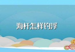 海杆怎样钓浮(一般怎么安装)