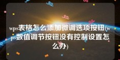 wps表格怎么添加微调选项按钮(wps数值调节按钮没有控制设置怎么办)